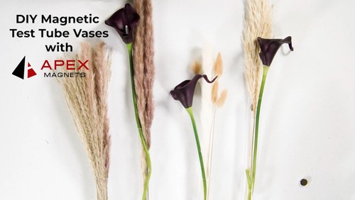 DIY: Magnetic Test Tube Vases